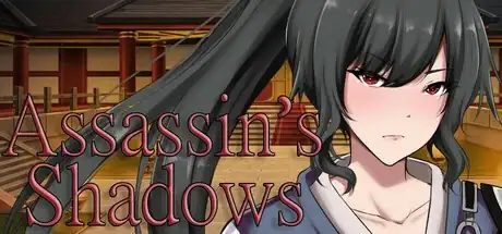 Steam store artwork for Assassin's Shadows.